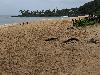 Image 2 of Waimea Bay Beach Park, Pupukea