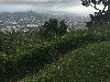Image 3 of Round Top Drive View Point, Manoa