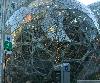 Image 3 of The Amazon Spheres, Seattle