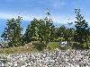 Image 2 of Pinehill Garden, Marang
