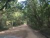 Image 2 of Botany Bay Plantation Heritage Preserve/ Wildlife Management Area, Edisto Island