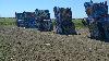 Image 7 of Cadillac Ranch, Amarillo