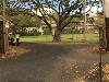 Image 2 of Punahou School, Honolulu