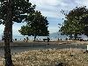 Image 8 of Kitsilano Beach Park, Vancouver
