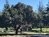 Image 1 of Vasona Lake County Park, Los Gatos