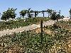 תמונה 2 של מצפור דובי וערן שמיר, מעלה גלבוע