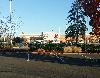 Image 3 of Target, Keizer