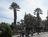 Imagen 4 de Plaza de Armas, Arequipa