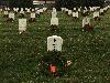 Image 1 of Arlington National Cemetery, Arlington