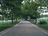 Image 3 of Arlington National Cemetery, Arlington