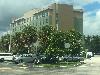 Image 1 of Four Points by Sheraton - Miami Airport, Doral