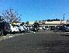 Image 4 of Costco, Federal Way
