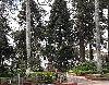 Image 6 of Parque Caldas, Popayán