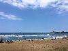 Image 2 of Haleiwa Ali'i Beach Park, Haleiwa