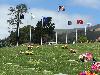 Image 8 of Holy Cross Cemetery, Colma