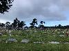 Image 4 of Holy Cross Cemetery, Colma