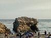 Image 3 of Natural Bridges State Beach, Santa Cruz