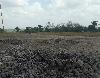 Image 3 of Piparo Mud Volcano, Piparo