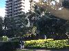 Image 7 of Hale Koa Hotel, Honolulu