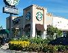 Image 2 of Starbucks, St. Petersburg
