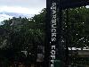 Image 2 of Starbucks, Westwood Lakes
