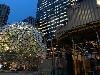 Image 5 of The Amazon Spheres, Seattle
