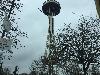Image 6 of Space Needle, Seattle