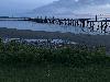 Image 1 of White Rock Pier, White Rock