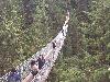 Image 3 of Capilano Suspension Bridge Park, North Vancouver