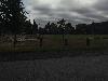 Image 1 of Balaclava Park, Vancouver