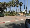 Image 1 of גן המדע ע״ש קלור, רחובות