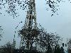 Image 1 of Space Needle, Seattle