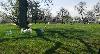 Image 3 of Holy Sepulchre Catholic Cemetery & Mausoleum, Alsip